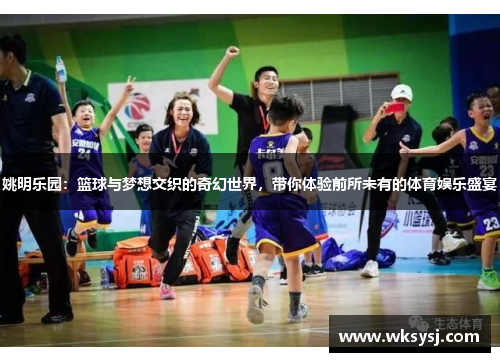 姚明乐园：篮球与梦想交织的奇幻世界，带你体验前所未有的体育娱乐盛宴