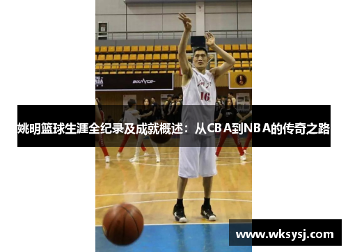 姚明篮球生涯全纪录及成就概述：从CBA到NBA的传奇之路