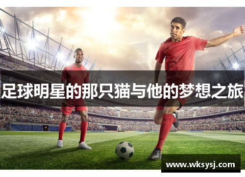 足球明星的那只猫与他的梦想之旅