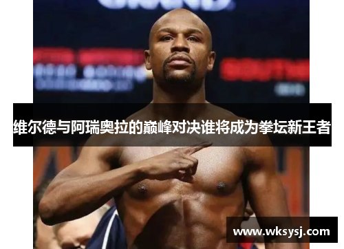 维尔德与阿瑞奥拉的巅峰对决谁将成为拳坛新王者